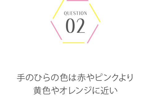 パーソナルカラー＆骨格診断