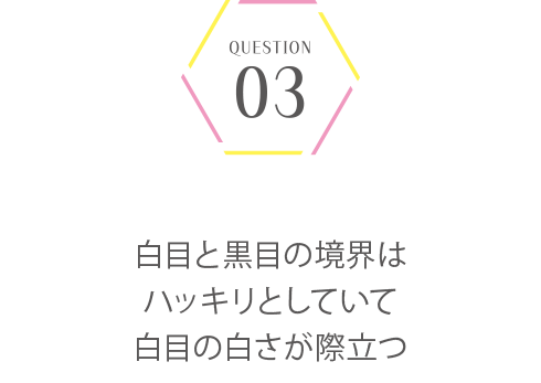 パーソナルカラー＆骨格診断
