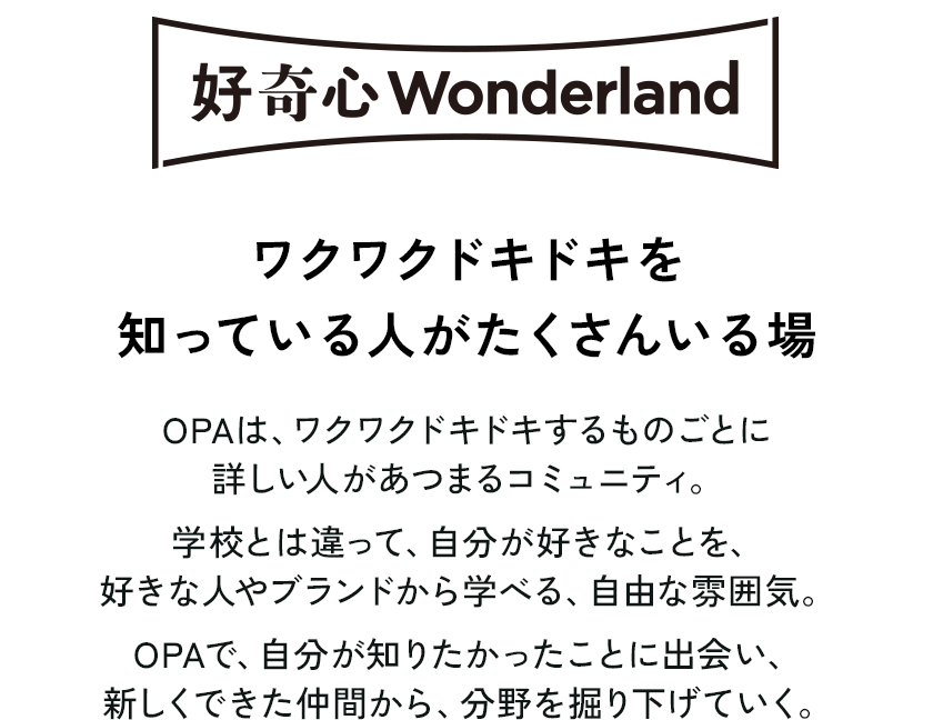 好奇心Wonderlandをのぞいてみよう！