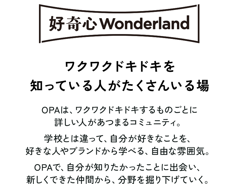 好奇心Wonderlandをのぞいてみよう！